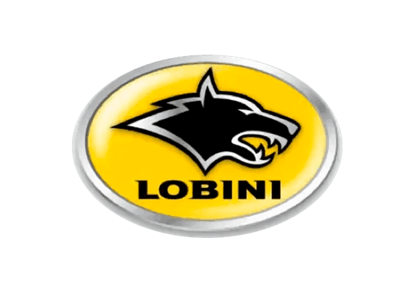 Seguros para veículos LOBINI